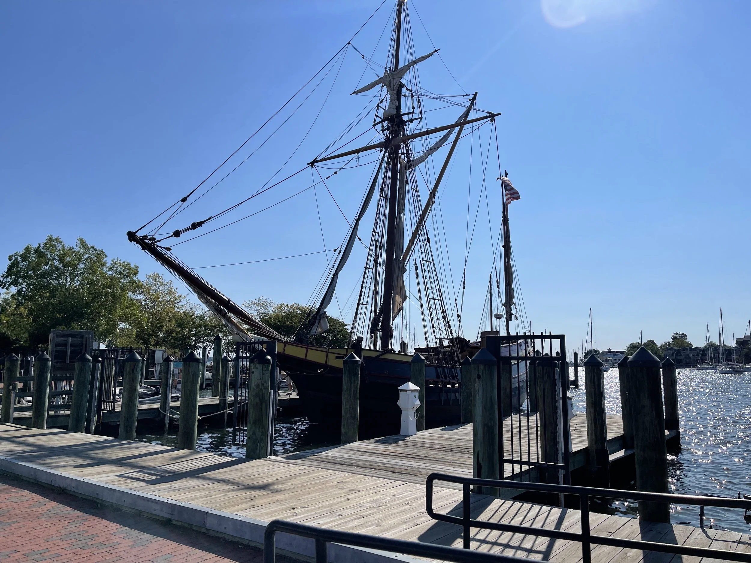 Maryland Dove AIS and antenna project — photo 1