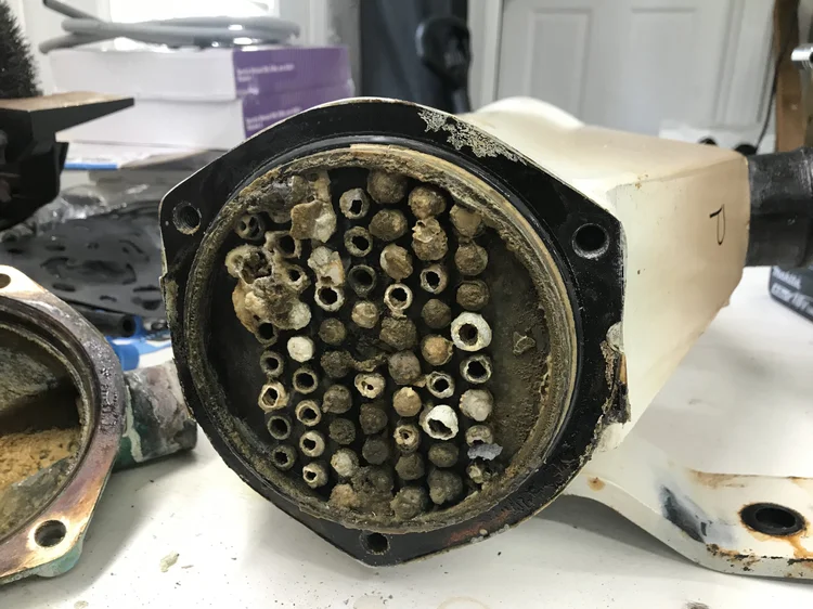 Tiara 3700 Open after-cooler and oil cooler service — photo 4